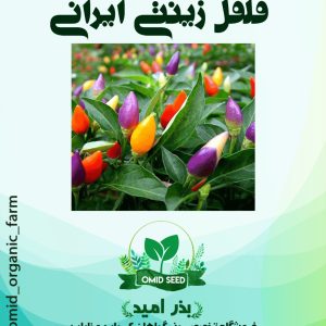 بذر فلفل تزئینی ایرانی