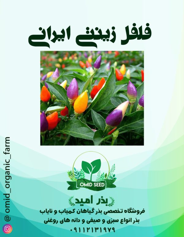 بذر فلفل تزئینی ایرانی - تصویر 1
