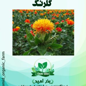 بذرگیاه گلرنگ