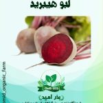 لبو خارجی هیبرید