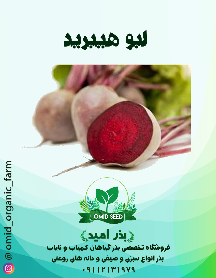 006 لبو خارجی هیبرید - تصویر 1