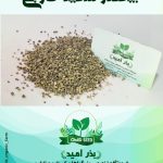 بذر عمده چغندر سفید خارجی