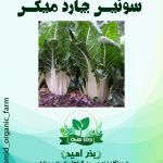 بذر سوئیس چارد سفید NS Seed