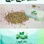 بذر عمده گشنیز توپی ایرانی