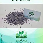 بذر چغندر قرمز