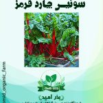 بذر سوئیس چارد قرمز NS Seed