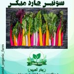 بذر سوئیس چارد میکس NS Seed