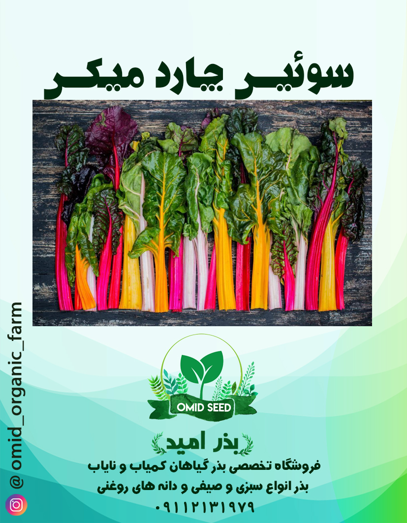 005 بذر سوئیس چارد میکس NS Seed - تصویر 1