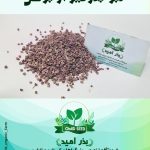 بذر لبو زر بذرگیری از بوش