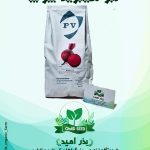 بذر هیبرید لبو خارجی