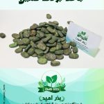 بذر باقلا برکت ثمین
