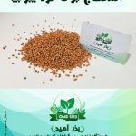 بذر اسفناج برگ گرد پوپ ( بیبی اسفناج )