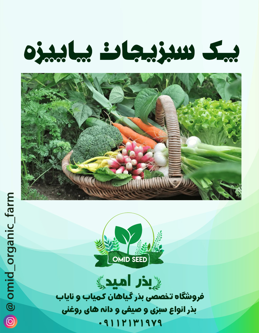 011 پک سبزیجات پاییزه - تصویر 1