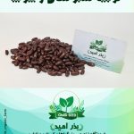 بذر لوبیا سان ری هلندی پوپ