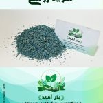 بذر شوید روسی مقاوم به سرما