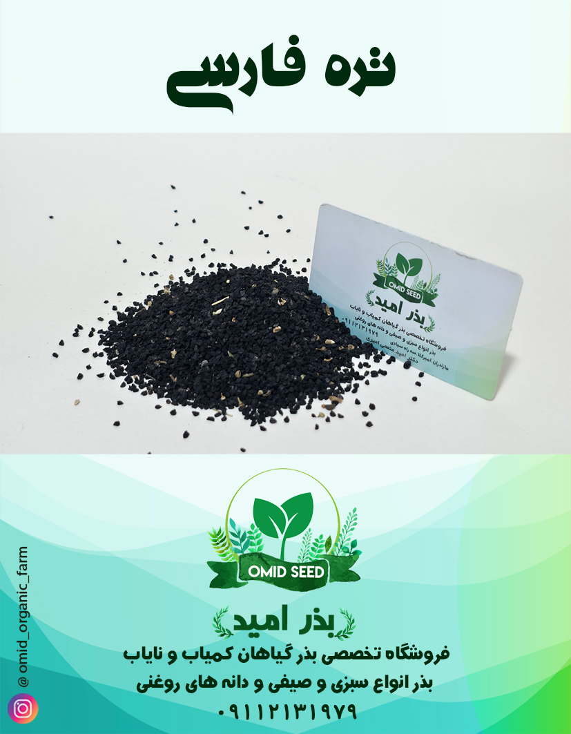 015 بذر تره فارسی ممتاز - تصویر 1