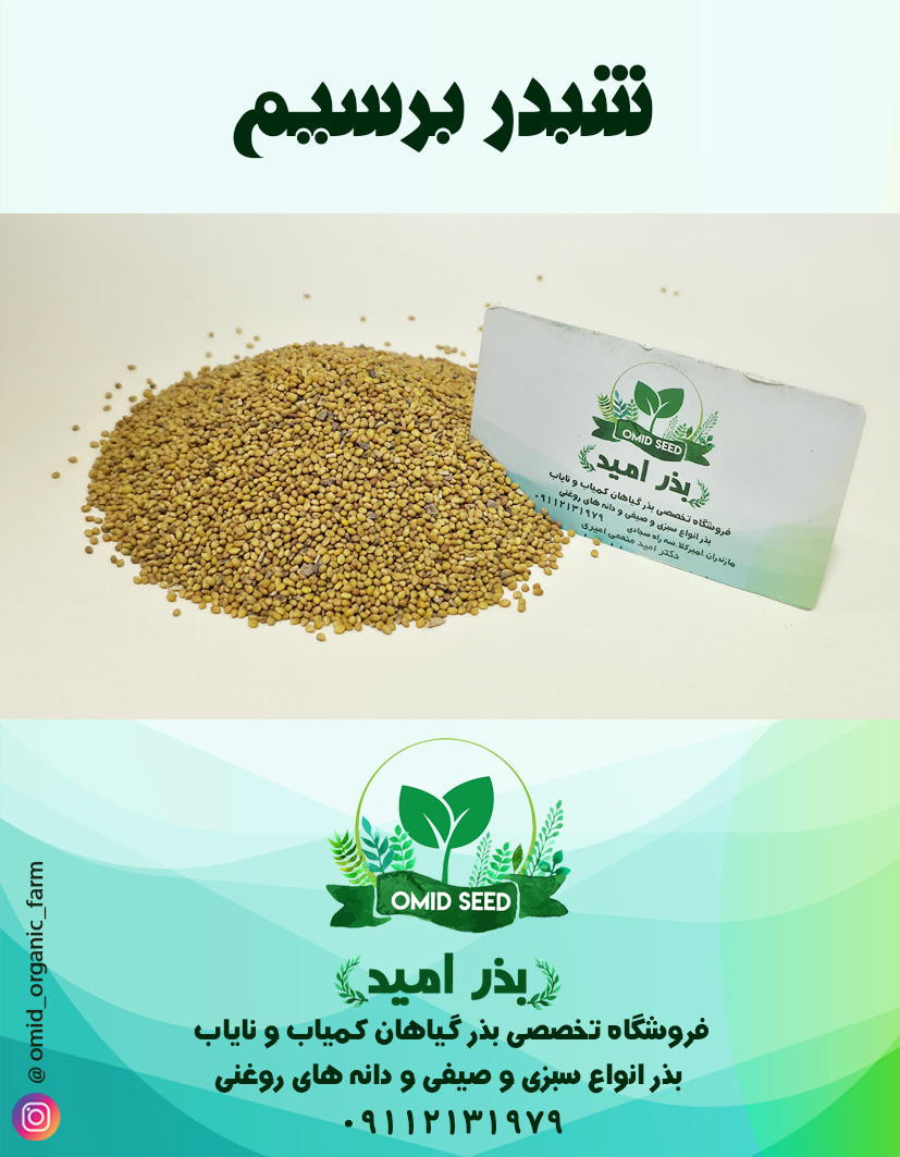 016 بذر شبدر برسیم پا بلند - تصویر 1
