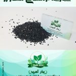 بذر پیازچه اردستانی ممتاز