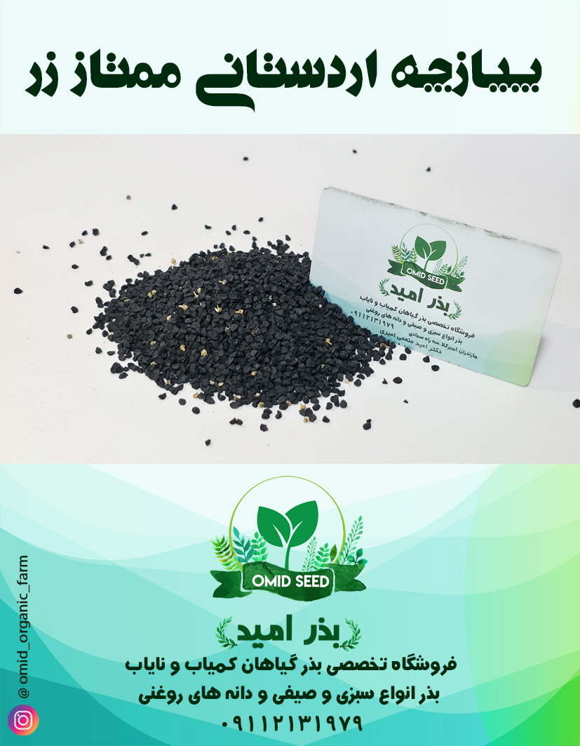 019 بذر پیازچه اردستانی ممتاز - تصویر 1