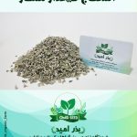 بذر اسفناج تیغدار ممتاز