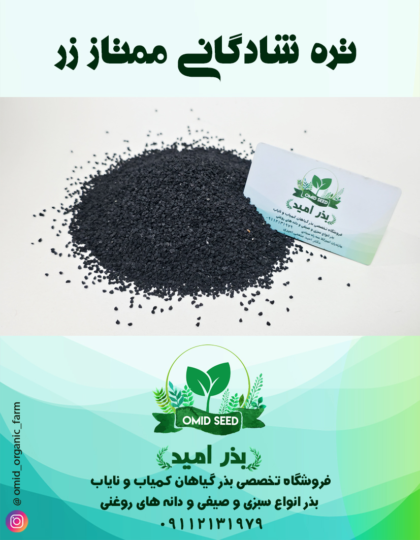 022 بذر تره شادگان کالرسورتینگ - تصویر 1