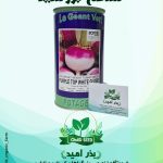 بذر شلغم خارجی بروسید قوطی 500 گرمی