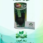 ترب سیاه ایتالیایی سایس قوطی 500 گرمی
