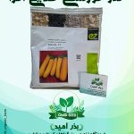بذر کدو خورشتی طلایی پاکت 1000 عددی اورجینال انزا
