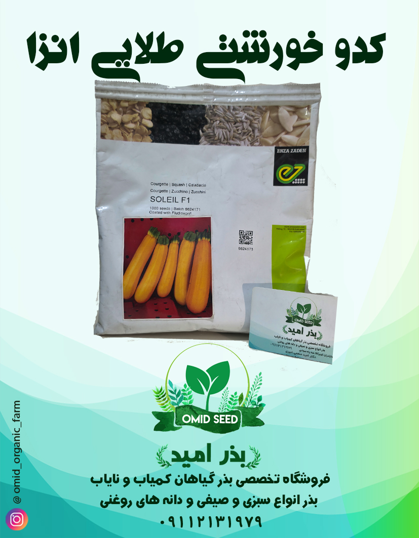 033 بذر کدو خورشتی طلایی پاکت 1000 عددی اورجینال انزا - تصویر 1