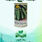 بذر خیار بت آلفا قوطی 100 گرمی
