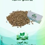 بذر عمده چغندر سفید