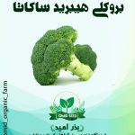 بذر بروکلی هیبرید ساکاتا
