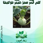 بذر کلم قمری سبز هیبرید توکیتا