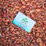 پیاز ریز ( غده پیاز ریز برای پیازچه )