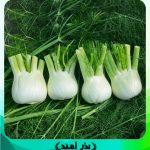 رازیانه هیبرید F1