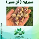 سیرچه ( گل سیر )