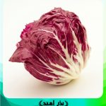 بذر کاسنی فرنگی شیکوره قرمز برگی