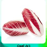 بذر کاسنی فرنگی شیکوره قرمز بوته ایی