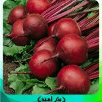 بذر لبو هیبرید ساکاتا