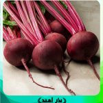بذر لبو هیبرید RZ