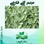 بذر گیاه دارویی مریم گلی وارداتی