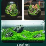 بذر چمن آکواریومی مونت کارلو و خاک مخصوص ( مخصوص پلنت و تراریوم و آکواریوم )