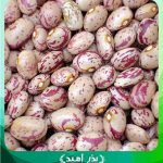 بذر لوبیا چیتی بوته ایی پا کوتاه کیلویی